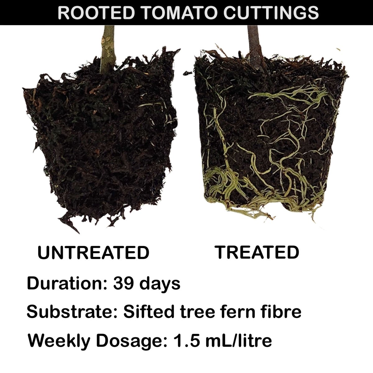 Liqua - Rootz Rooting Concentrate - Plant Propagation - Liqua Nutrients